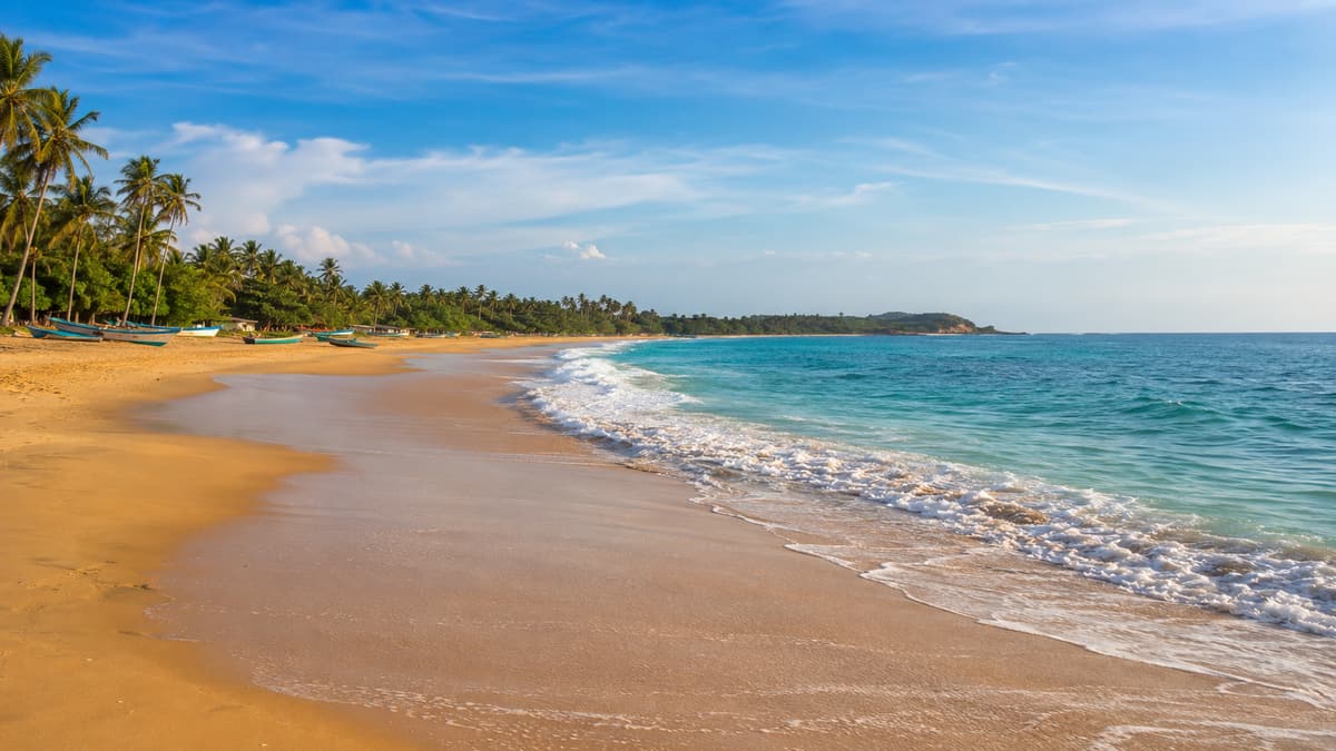 Traveling to Arugam Bay with Kids: Health Precautions for Families